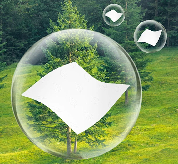 Zhejiang Starryapex Biotechnology Co., Ltd.