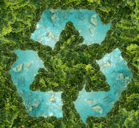 Zhejiang Starryapex Biotechnology Co., Ltd.